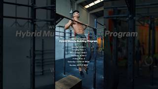 🔥Try this Hybrid Program Calisthenics  Weights [upl. by Venetia]