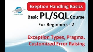 PLSQL exception handling  Visit description for more info [upl. by Carling]