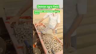 Best performance potato planter [upl. by Barbur360]