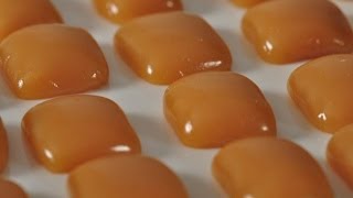 Caramels Recipe Demonstration  Joyofbakingcom [upl. by Eustashe]