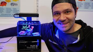 Is this the SMALLEST Reef Tank Possible [upl. by Hardden]