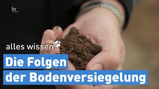 Die Folgen der Bodenversiegelung  alles wissen [upl. by Jenna]