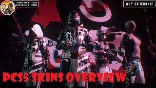 PUBG PCS5 SKINS OVERVIEW [upl. by Nnodnarb12]