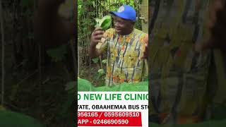 Essential Health Benefits of Cocoyam Leaves Kontomire 1 healthandfitness [upl. by Edin]