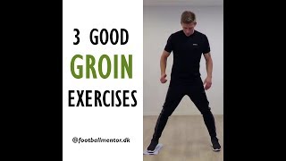 Groin Exercises  How To Treat A Groin Strain Injury [upl. by Dallas867]