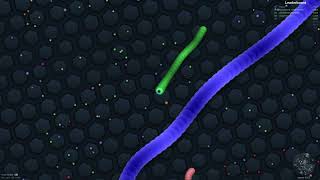 slitherio  gameplay  144 points [upl. by Iru]