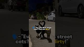 Street cats  edit  cat  nyxvyy  Subscribe ✨ [upl. by Suivatnad636]