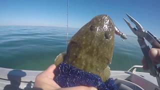 Bribie Island Fishing with Stuart [upl. by Merete]