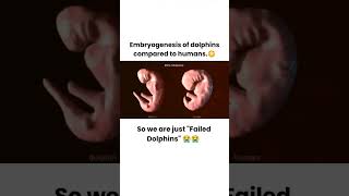 What is embryogenesis Embryogenesis Embryo embryology  Embryogenesis science [upl. by Rosecan869]