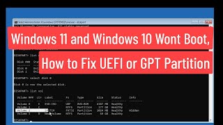 Windows 11 and 10 Wont Boot How To Fix UEFI or GPT Partition [upl. by Bail837]