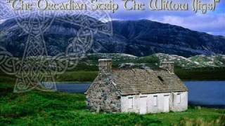 The Occasionals The Orcadian Strip The Willow Scottish Jigs [upl. by Doownelg]