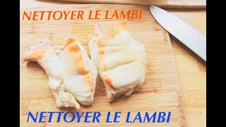 NETTOYER LE LAMBI Mes conseils et astuces [upl. by Nawek855]