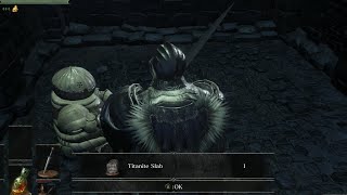 Dark Souls 3  Irrhyll Dungeon  Unlocking Siegwards Cell Titanite SlabGold Serpent Ring [upl. by Joliet109]