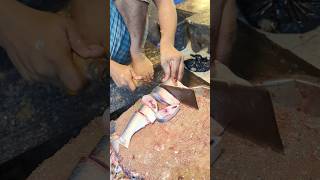 Amazing Hilsa Fish Cutting Skills In Bangladesh Local Fish Market  Fish Cutting shorts [upl. by Enneira]