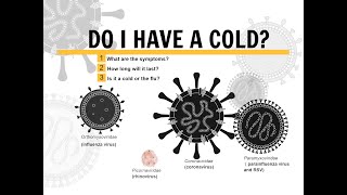 The Common Cold Timeline of Symptoms [upl. by Almeida]