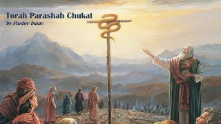 39 Torah Parashah Chukat Laws beyond human understanding [upl. by Neehsar476]