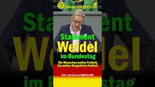 Weidel Bundestag Opposition Sicherheit Merz Freiheit Demokratie Meinungsfreiheit Statement [upl. by Orv]