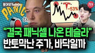 테슬라 주가 반토막에 항복한 투자자들 바닥 신호일까몰아보기 [upl. by Ailuig]