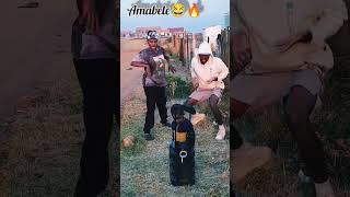 Amabele Amapiano amaentertainer sowetosfinest Hadiwele🔥🔥🕹 NewDancechallenge viralvideo [upl. by Comstock]