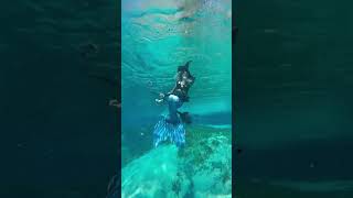 Must be the season of the sea witch 🧜🏼‍♀️ mermaid underwater h2o halloween2022 florida witch [upl. by Hillie]