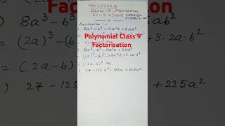 Class 9 Polynomial Factorisation Chapter 2 Exercise 24 Question 8 iii neelclass16 👌 [upl. by Crabb577]