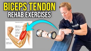 2 Biceps Tendonitis Exercises [upl. by Ellennaj]