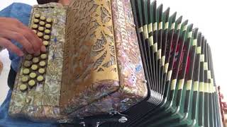 Concertina  Vinho Verde [upl. by Fiden]