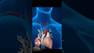 Angioplasty Explained Essential Animation to Watch Before Your Procedure health [upl. by Ecyal]