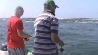 Hi Flier 9712 Light Tackle Fishing Houndfish Needlefish Live Grass Shrimping Barnegat Inlet [upl. by Eanehs]