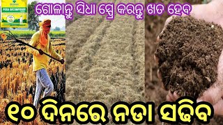 ୧୦ ଦିନ ରେ ନଡା ଖତ ହେବ ନଡା ପୋଡାନ୍ତୁ ନାହିଁPusa decomposer powderbest decomposer [upl. by Botti]