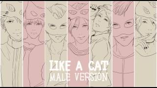 【AOA】 Like A Cat malever [upl. by Draper]