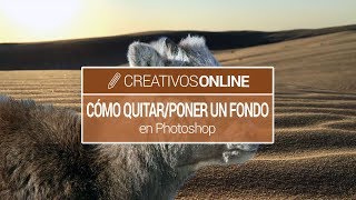 Cómo quitar o poner un fondo a una foto en Photoshop [upl. by Reste378]