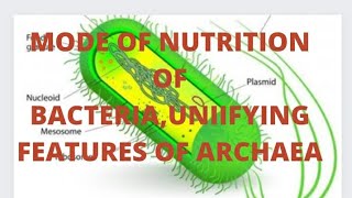 MODE OF NUTRITION OF BACTERIAUNIFYING FEATURES OF ARCHAEA [upl. by Gney]