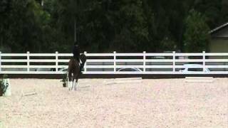 National Equestrian Centre Park Singapore Opening Dressage 31 March 2011 [upl. by Boardman]