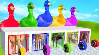 5 Giant Duck Cartoon Cow Giraffe Elephant Lion Paint Wild Animals Crossing Fountain Animation [upl. by Vinna220]