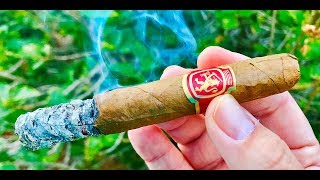 Henri Wintermans Cigar Review [upl. by Bergmans]