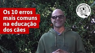 Os 10 erros mais comuns na educação dos cães [upl. by Erodoeht]