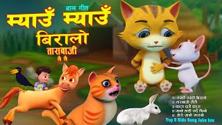 Meow Meow Biralo म्याऊँ म्याऊँ बिरालो  Tara baji Lai Lai  Kag Dajai  Mero SanoTop 5 Kids Song [upl. by Albemarle157]