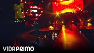 DON OMAR  SALIO EL SOL  HECHO EN PUERTO RICO [upl. by Davilman671]