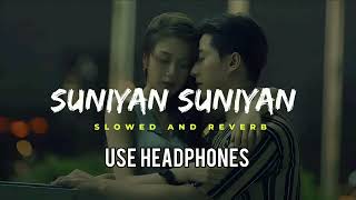 Suniyan Suniyan Rata  SlowedReverb  Lofi Song  Punjabi Song ❤️‍🩹🥀 [upl. by Curnin]