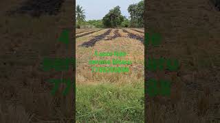 vandavasi to uthiramerur road 4 acre free service kinaru 7708283888agricultureland 1 acre 25 laksh [upl. by Yznyl]