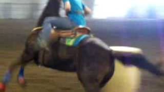 BARREL RACING SADDLEBRED [upl. by Jentoft892]