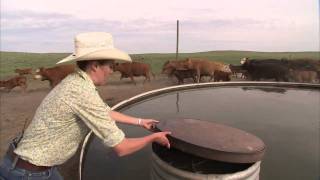 Colorado Female Rancher  Ranching RoundUp Americas Heartland [upl. by Lavoie]