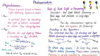 Photoperiodism class 12  photoperiodism class 11 [upl. by Annoyt406]