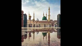 Madina chod aayai hai💚 [upl. by Ajdan]