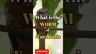 What is the worm of taeniasis shorts facts biology [upl. by Anyel469]