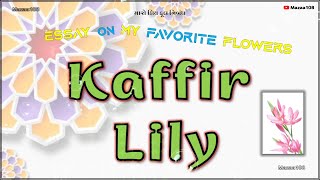 Kaffir Lily Flower  Essay on Kaffir Lily Flower  My Favourite Flower Kaffir Lily  Kaffir Lily [upl. by Farron]