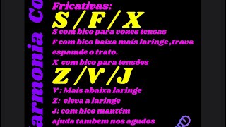 Exercícios de Quebrando padrões tensos e vozes alertadas FRICATIVAS [upl. by Eimaj890]