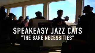 The Bare Necessities  Speakeasy Jazz Cats [upl. by Adnara]