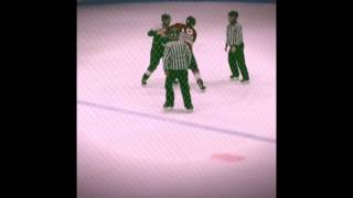 PEI Senior Hockey Fights [upl. by Ahseid]